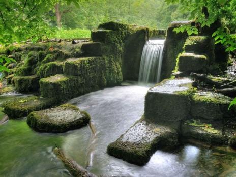 An overgrown waterway from the region's industrial past